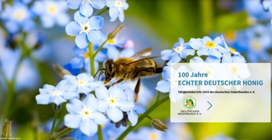 Brandneu, aber nicht gefährlich: unser Tätigkeitsbericht